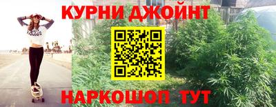 крисы Гагарин
